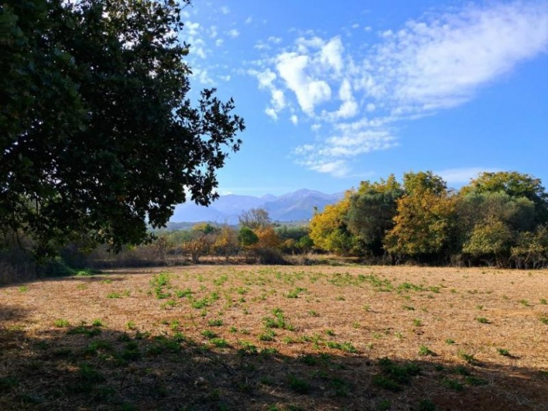 Armeni bei Chania MIT VIDEO: Kreta, Armeni bei Chania: Erstklassiges Baugrundstück mit Bergblick, Obstgarten und Strandnähe Grundstück kaufen